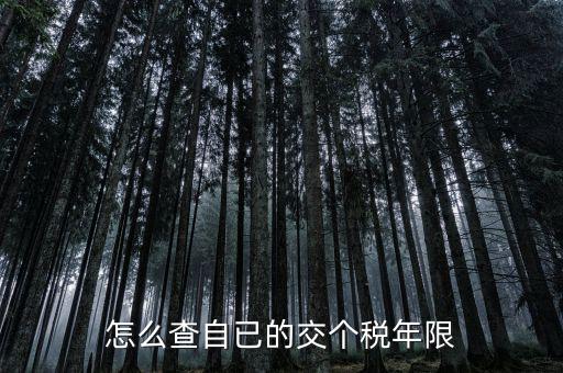 如何查詢納稅期限，怎么查自已的交個稅年限