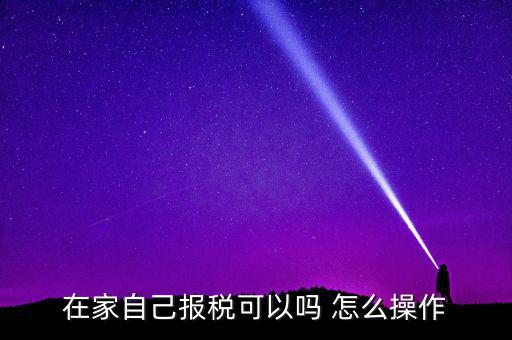 如何自行申報(bào)納稅，在家自己報(bào)稅可以嗎 怎么操作