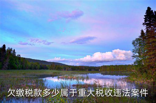 如何判定重大稅收違法案件，重大稅務(wù)案件范圍