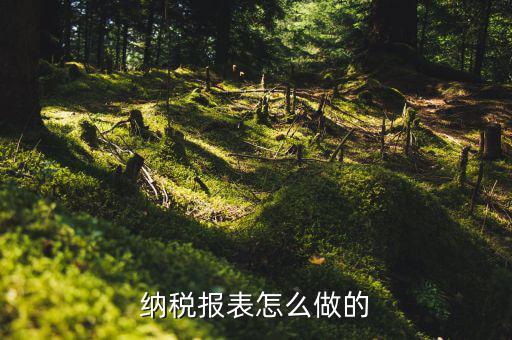 如何做數(shù)據(jù)報稅，在開普票里每月1號申報數(shù)據(jù)具體怎么弄的先點擊報稅再點