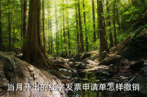 如何撤銷紅字發(fā)票申請(qǐng)書(shū)，紅字申請(qǐng)單如何作廢