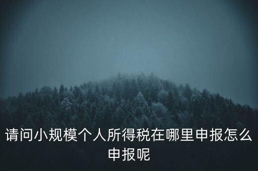 如何申報(bào)自然人兩處所得，請問小規(guī)模個(gè)人所得稅在哪里申報(bào)怎么申報(bào)呢