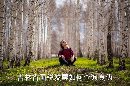 吉林省發(fā)票如何查真假，吉林省國(guó)稅發(fā)票如何查詢(xún)真?zhèn)?/></a></span><span id=