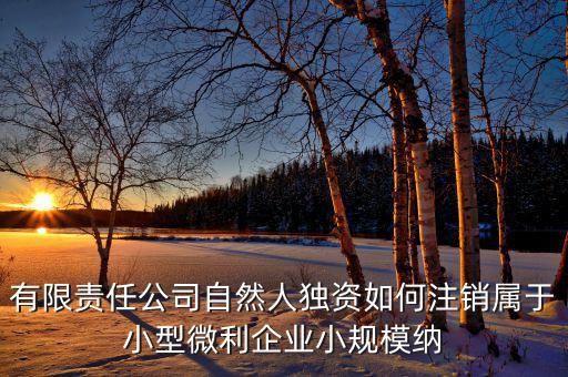 如何注銷小微企業(yè)所得稅，小微企業(yè)工商稅務注銷手續(xù)