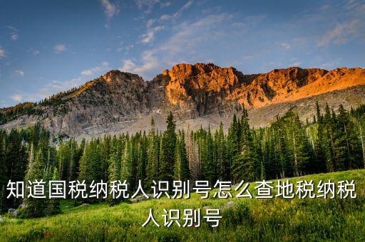如何上國稅網(wǎng)查納稅人信息，怎樣查詢國稅繳稅信息
