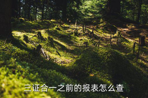 如何查三證合一之前的國稅數據，三證合一之前的報表怎么查