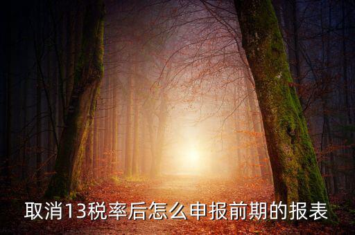 取消13稅率申報表如何填，13的稅率沒了納稅申報以后怎么辦