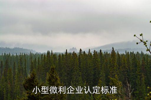 如何確定是小微企業(yè)，小型微利企業(yè)認定標準