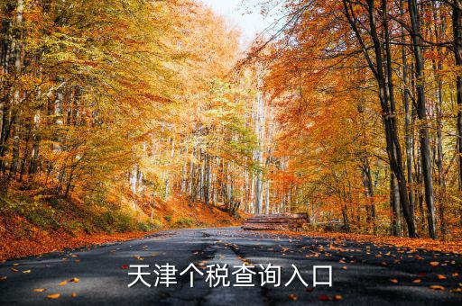 天津個(gè)稅如何查詢密碼，天津個(gè)稅查詢?nèi)肟?/></a></span><span id=