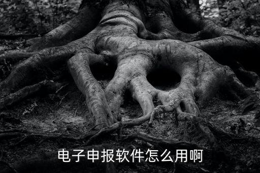 濟南電子稅務如何使用，網(wǎng)上辦稅平臺手機app怎么操作