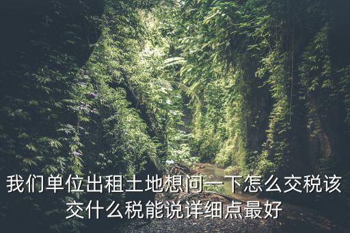 土地出租如何征稅，我們單位出租土地想問一下怎么交稅該交什么稅能說詳細(xì)點最好