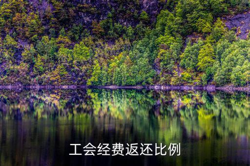 稅務(wù)局代收工會(huì)經(jīng)費(fèi)如何返還，工會(huì)經(jīng)費(fèi)交稅務(wù)局怎么返還
