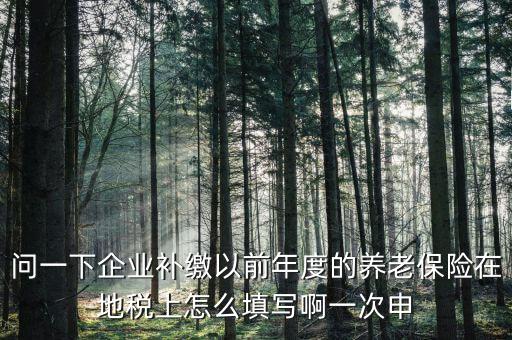 如何補打地稅社會保險費申報表，在網(wǎng)上交完社保后要怎樣補打社會保險費申報表