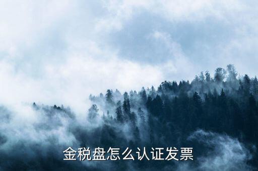 如何用金稅盤認證發(fā)票，金稅盤怎么認證發(fā)票