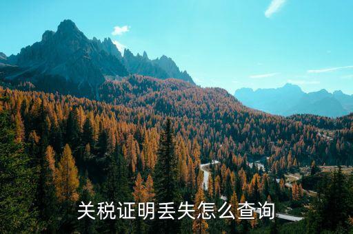 如何查納稅證明，個人的納稅證明網(wǎng)上能查嗎