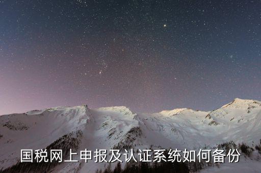 稅友申報軟件如何備份，國稅網(wǎng)上申報及認證系統(tǒng)如何備份