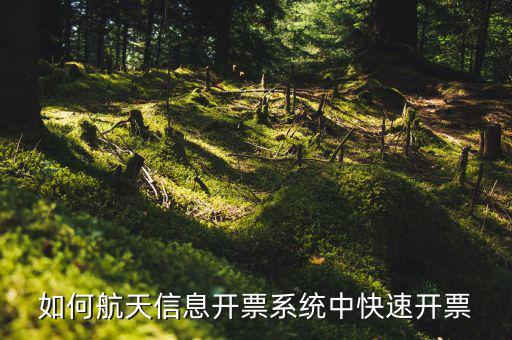航天信息如何開票，怎么在航天信息開票軟件開紅字發(fā)票