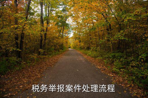 稅務(wù)局如何受理舉報，怎么投訴國稅工作人員 這5個渠道都可以進(jìn)行投訴