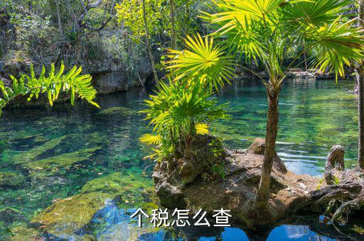 如何查詢個人稅，個稅怎么查