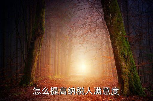 如何提升納稅人獲得感，怎么提高納稅人滿意度