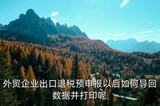 出口退免稅備案如何打印，外貿(mào)企業(yè)出口退稅預申報以后如何導回數(shù)據(jù)并打印呢