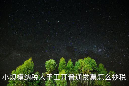 小規(guī)模納稅人開票系統(tǒng)如何抄報稅，小規(guī)模稅款控盤如何抄報稅