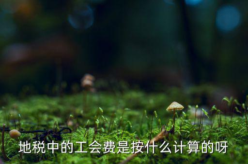 交地稅時(shí)的工會(huì)經(jīng)費(fèi)如何計(jì)算方法，地稅中的工會(huì)費(fèi)是按什么計(jì)算的呀