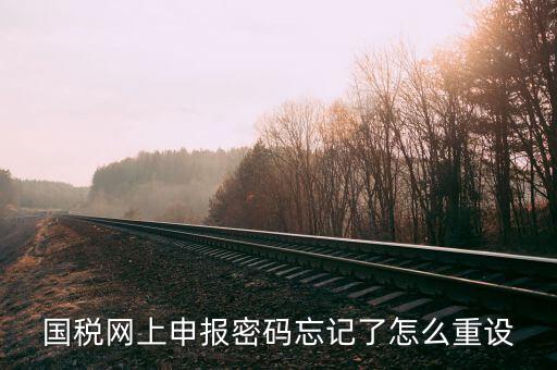 網(wǎng)上稅務(wù)局登錄密碼如何重置，國稅網(wǎng)上申報(bào)密碼忘記了怎么重設(shè)
