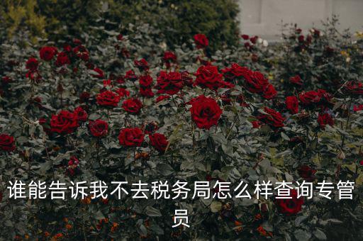 如何查納稅人的稅管員，誰能告訴我不去稅務局怎么樣查詢專管員