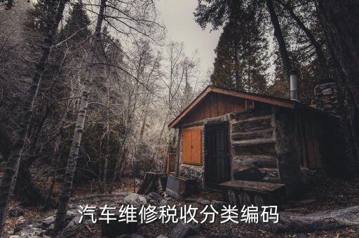 稅收分類編碼如何查詢，汽車維修稅收分類編碼