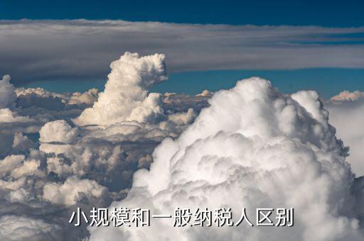 一般納稅人和小規(guī)模納稅人如何區(qū)分，小規(guī)模和一般納稅人的區(qū)別是什么