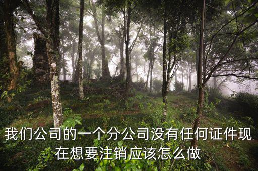 外管證不見(jiàn)了如何注銷，注銷外管證沒(méi)帶公司章可以嗎