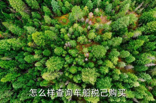 如何查詢車輛完稅證明，怎么樣查詢車船稅己購買