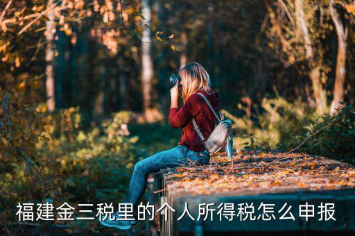 福建省個(gè)稅如何申報(bào)，福建金三稅里的個(gè)人所得稅怎么申報(bào)