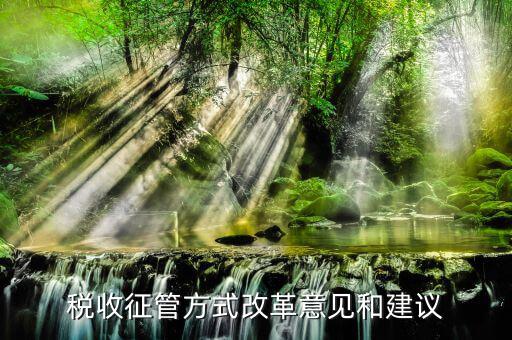 征管改革稅務(wù)人員如何做，稅收征管方式改革意見和建議
