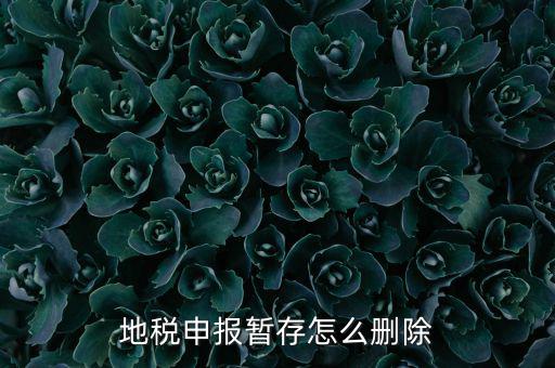 地稅的附加稅如何刪除申報記錄，地稅報表報錯怎樣刪除