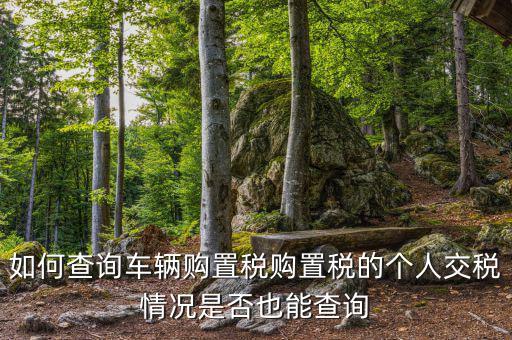 如何查汽車購置稅，我想查查我的車輛購置稅是多少怎么查