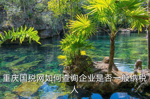 如何在國(guó)稅網(wǎng)查是否一般納稅人，怎么在網(wǎng)上查一個(gè)單位是不是一般納稅人