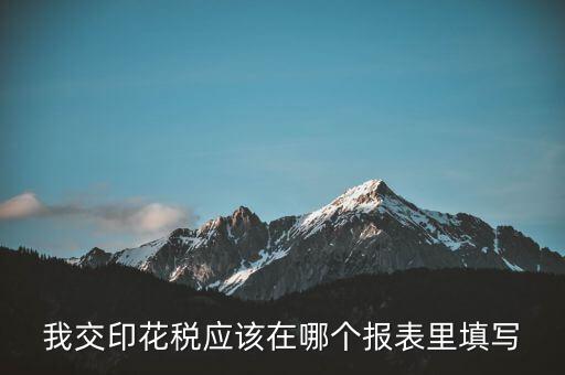 網(wǎng)上印花稅表如何填寫，印花稅申報報表要怎么填啊