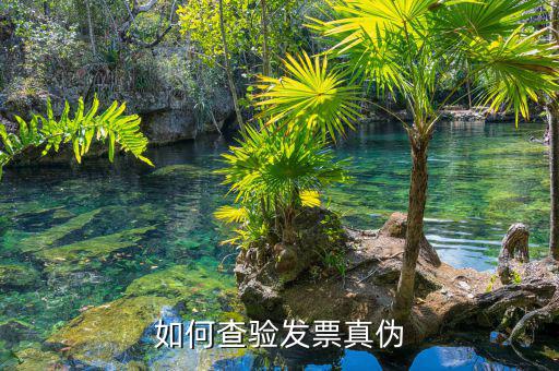 如何查詢專用發(fā)票真?zhèn)尾樵?，如何查驗發(fā)票真?zhèn)?/></a></span><span id=