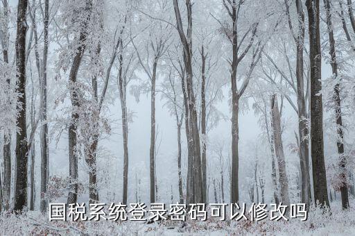 如何修改納稅申報(bào)密碼，金稅三期怎樣修改報(bào)稅密碼