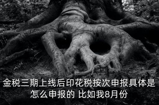 金稅三期如何填報印花稅表，印花稅申報報表要怎么填啊