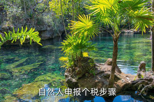 如何使用自然人納稅系統(tǒng)，新辦企業(yè)怎樣登錄自然人電子稅務局扣繳端