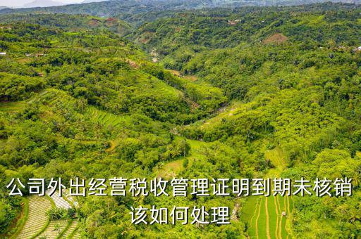 未核銷外經(jīng)證如何查詢，外經(jīng)證有效期在網(wǎng)上怎么查詢