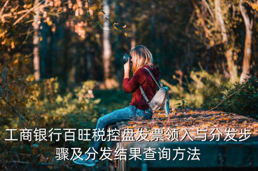 如何把百旺稅控盤(pán)，一個(gè)單位有兩個(gè)百旺的稅控盤(pán)是怎么領(lǐng)發(fā)票