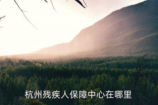 杭州市殘保證如何申請(qǐng)，杭州殘疾人保障中心在哪里