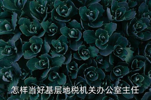 稅務(wù)部門如何抓好主體責(zé)任，如何做好稅收法規(guī)工作