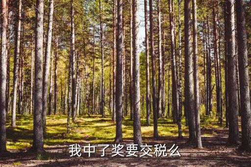 個(gè)人接受獎(jiǎng)勵(lì)如何繳稅，獎(jiǎng)金個(gè)人所得稅收取