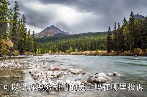 如何投訴國稅工作人員，怎么投訴怎么投訴國稅