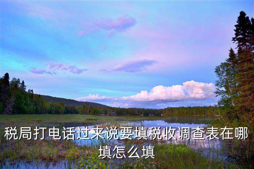 涉稅事項(xiàng)調(diào)查表如何填寫，09全國(guó)稅收調(diào)查表如何填寫